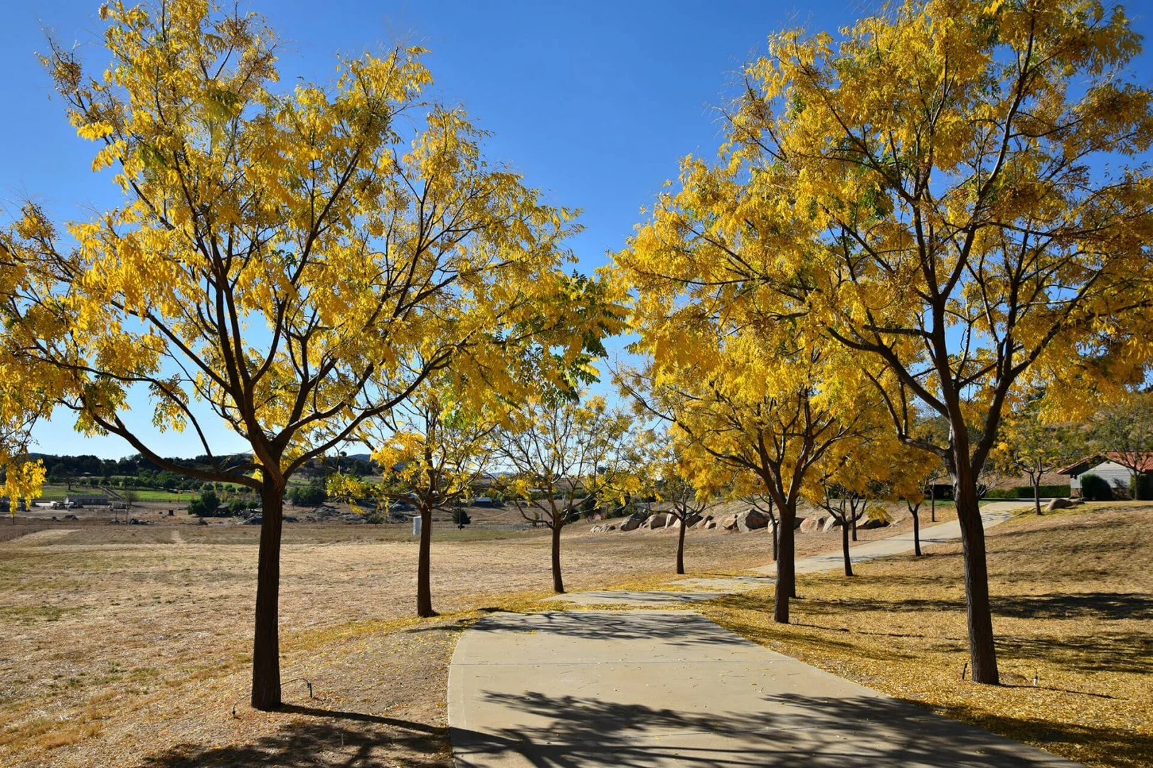 Musikey | San Diego County - Alpine