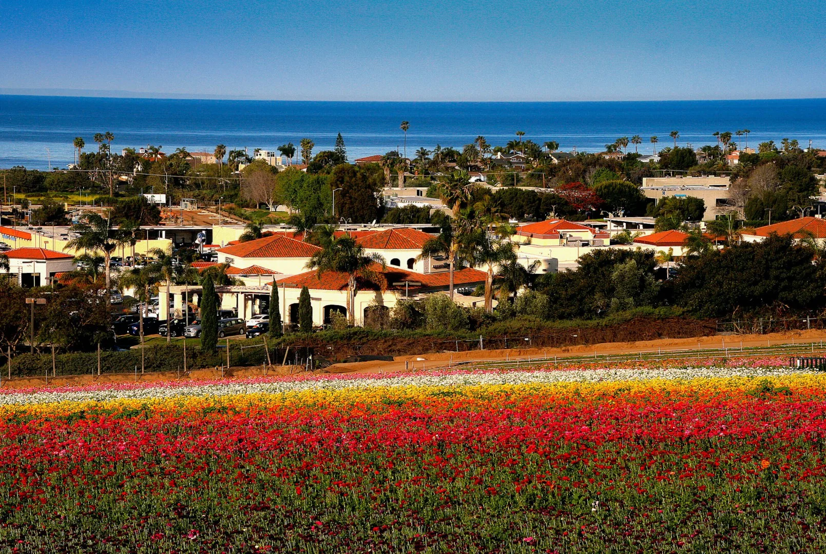 Musikey | San Diego County - Carlsbad