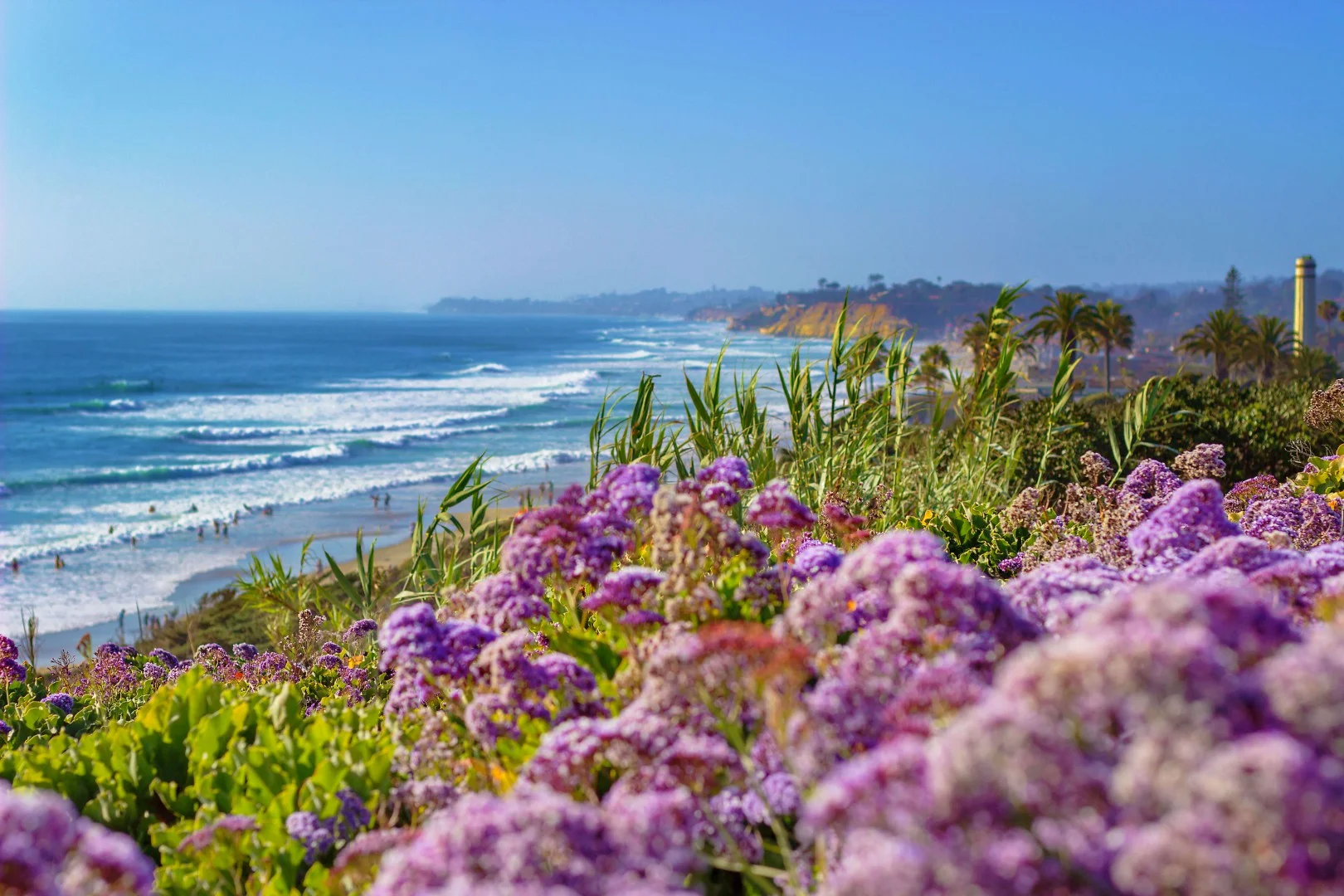 Musikey | San Diego County - Del Mar