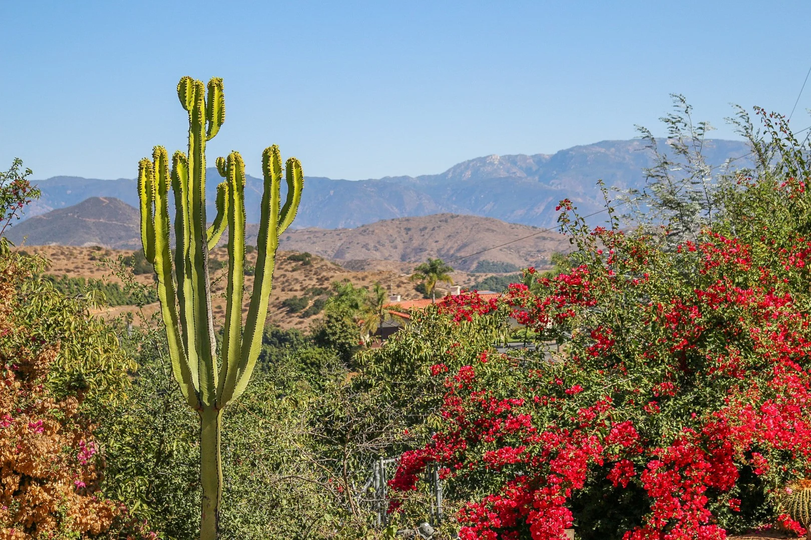 Musikey | San Diego County - Fallbrook