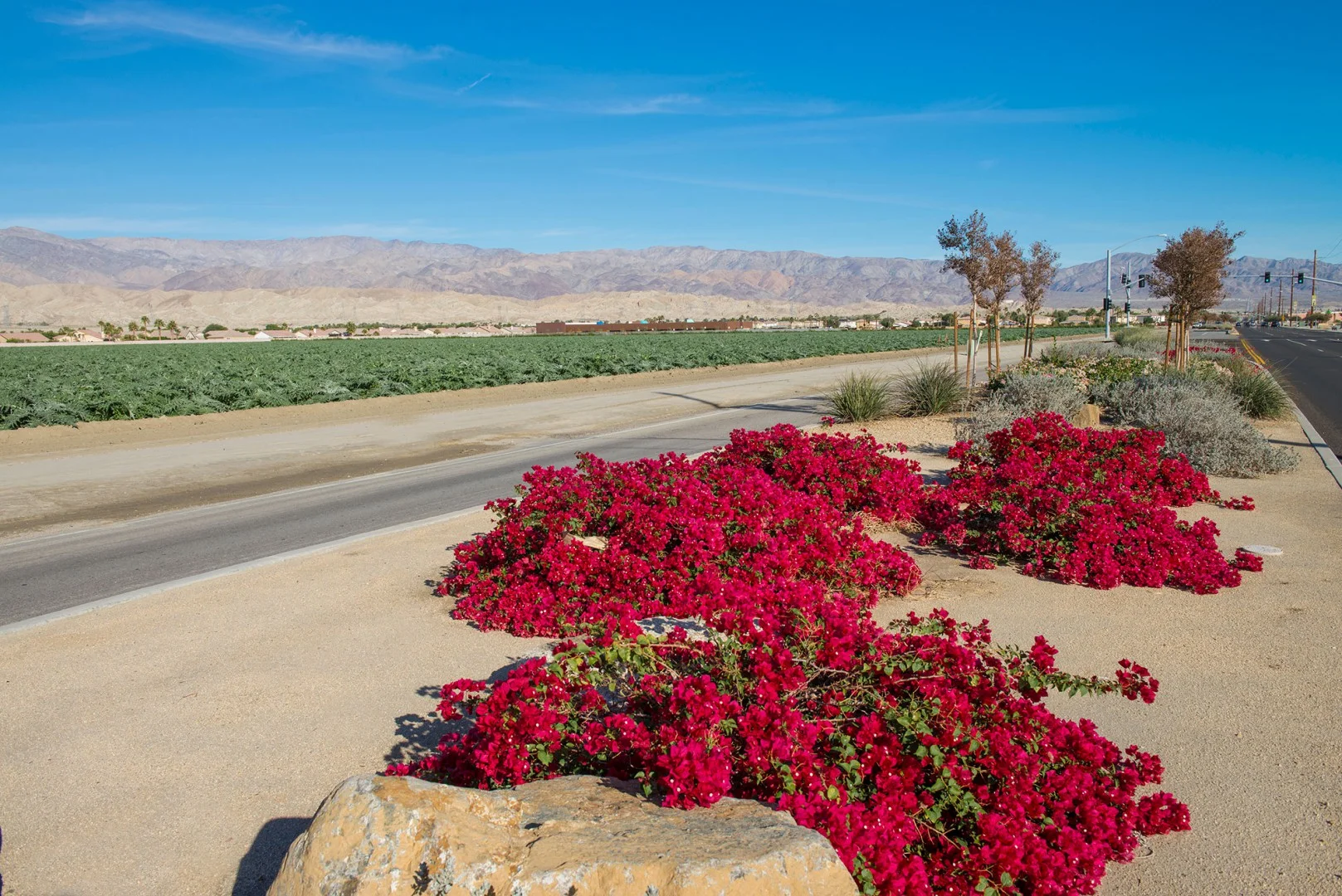 Musikey | Riverside County - Indio