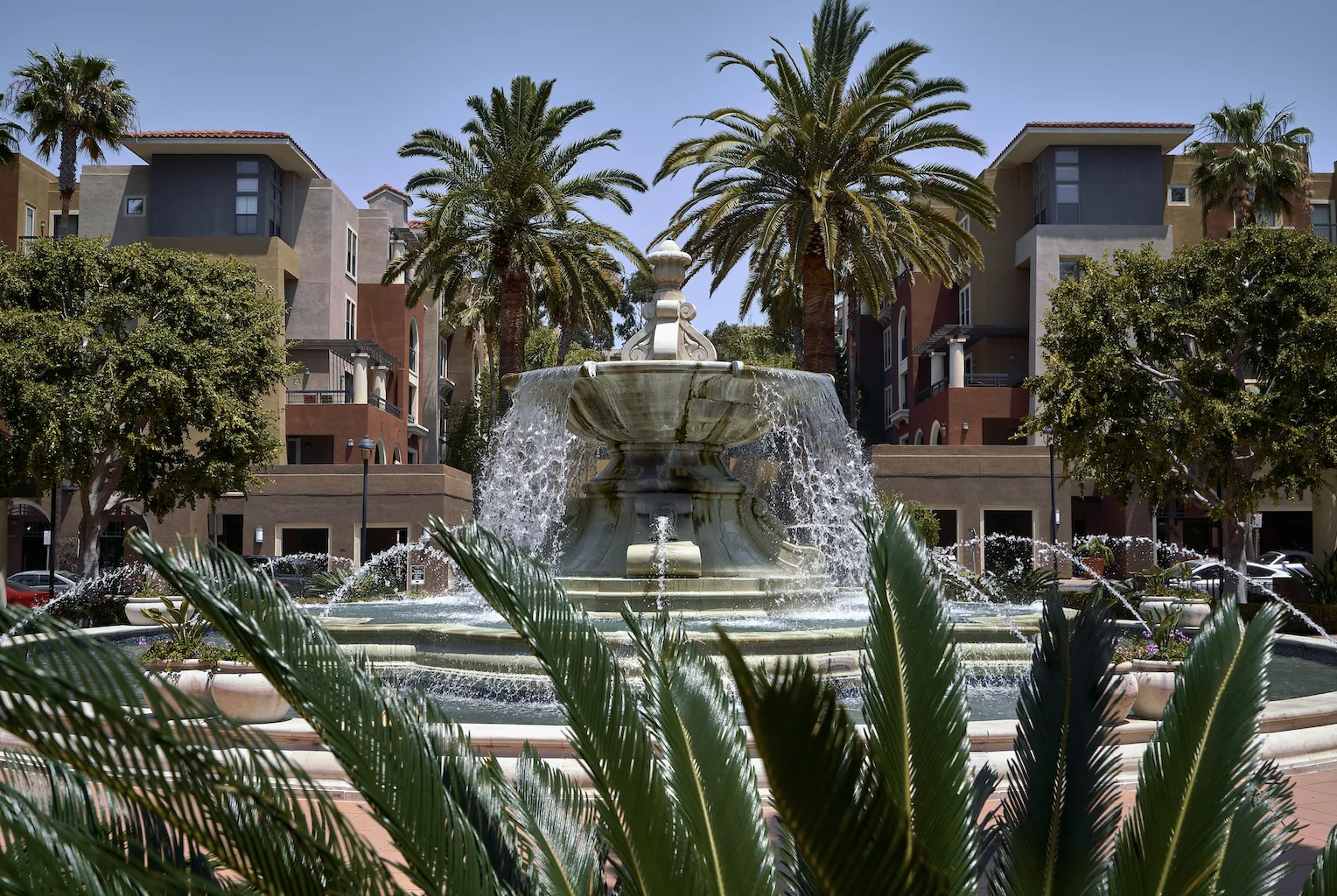 Musikey | San Diego County - Mission Valley